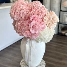 Vittoria (Prederved Roses)