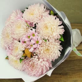 Bouquet of pale pink chrysanthemums wrapped in white paper