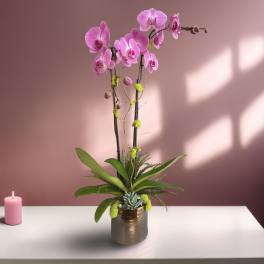 Pink orchid arrangement in a metallic pot with a small candle beside it