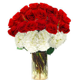 Red roses and white hydrangeas arranged in a clear glass vase