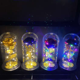 Four rose domes under clear glass cloches with colored lights