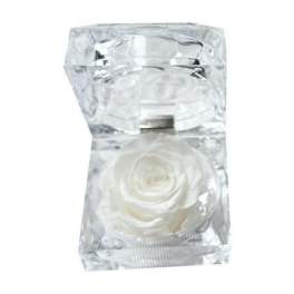 White rose encased in a clear faceted ice-like holder