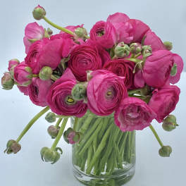 Pink ranunculus bouquet in a clear glass vase