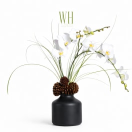 White orchid stems in a black vase with pinecones