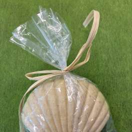Shell soap