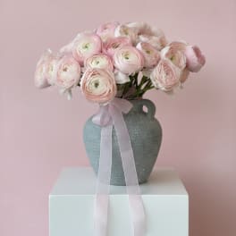 Blush in Beverly