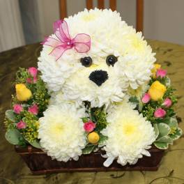 White chrysanthemum teddy bear arrangement with pink bow and small roses in a basket