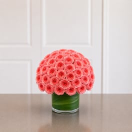 Luxe rose ball 50 roses