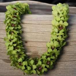 Green floral lei on a wooden surface