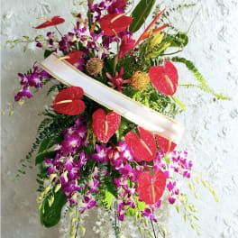 Tropical floral arrangement with red anthuriums and purple orchids