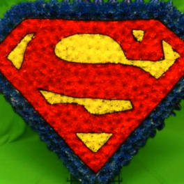 Superman logo made from flowers on a green background