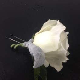 White rose boutonniere with a gray ribbon wrap and pins on a black background