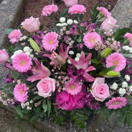 Pink Perfection