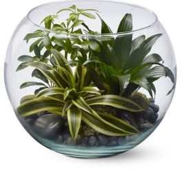 Sphere of Tranquility