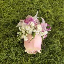 Pink rose bud with white baby's breath and ribbon on green moss