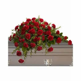 CASKET SPRAY CARNATIONS