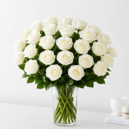 Two Dozen White Roses
