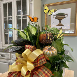 The Legacy Dish Garden