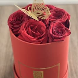 Four red roses in a round pink box with a butterfly topper