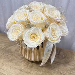 17 Forever Lasting Roses