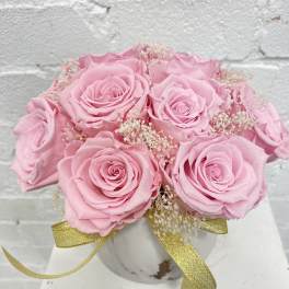 Dozen long lasting roses
