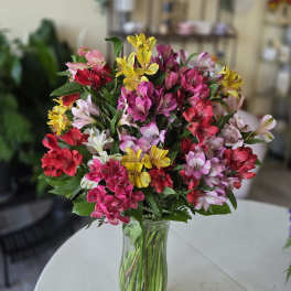 Amazing Alstroemeria by BloomNation™