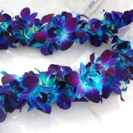 Purple and blue flower lei on a white background