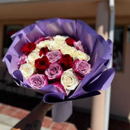 Lavender Dream
