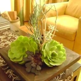 Succulent arrangement in a square planter on a table
