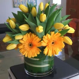 Yellow tulips and orange gerbera daisies in a glass vase