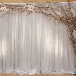White draped backdrop framed by bare branches with small white blossoms