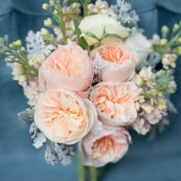 Stella Rose Spring Collection 05