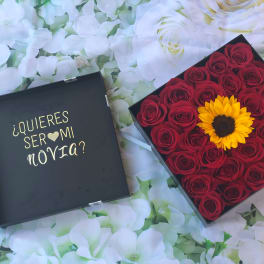Box of red roses with a sunflower and a lid reading "¿Quieres ser mi novia?"