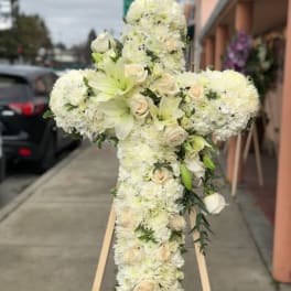 White Cross