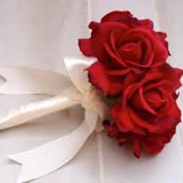 Red rose boutonniere with white ribbon on a light background