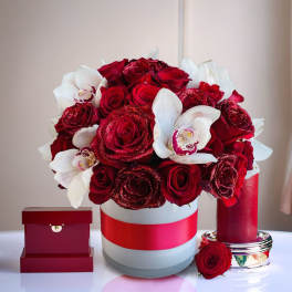 Red roses and white orchids in a round box with a red ribbon.