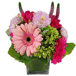 Pink and lavender flowers arranged in a clear square vase