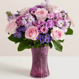 BN Daydream