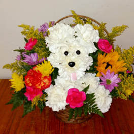 Playful Pup Fresh Flower Arrangement