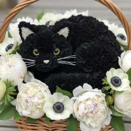 Black cat-shaped floral arrangement in a wicker basket with white flowers