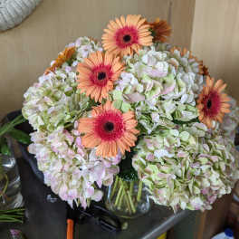 Hydrangea and Gerber vase