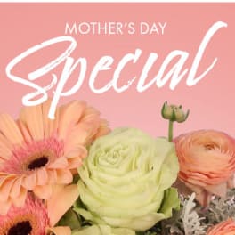 Mother's Day Special ' Designer's Choice