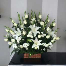 White serenity