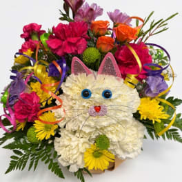 Snowball The Cat
