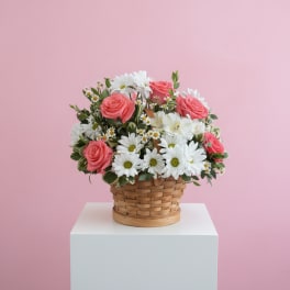 Sweet Daisy Basket