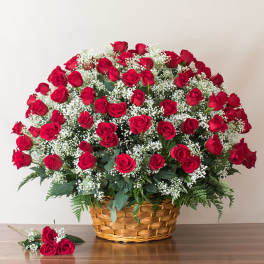 Luxury Red Rose Basket (6 Dozen Long Stem Roses)