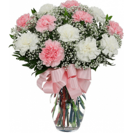 Dozen Pink/White Carnation arranged in a vase arrangement