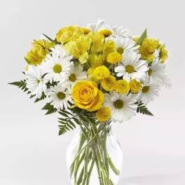 Dancing Daisies