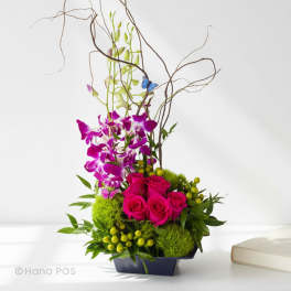Enchanted Orchid Garden