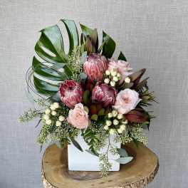 Tropical Blush